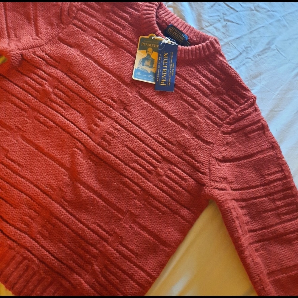 Pendleton sweater in Rust
